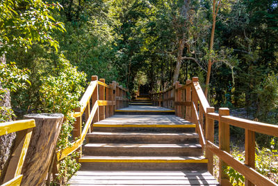 Steps in forest