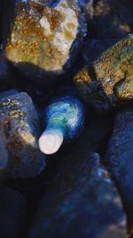 Close-up of pebbles on rock