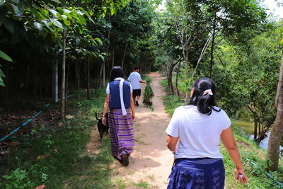 Rear view of people walking in forest