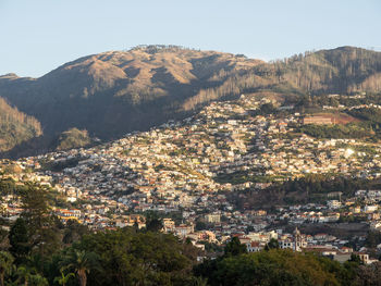 Funcha on the island of madeira