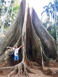 Midsection of man amidst trees in forest