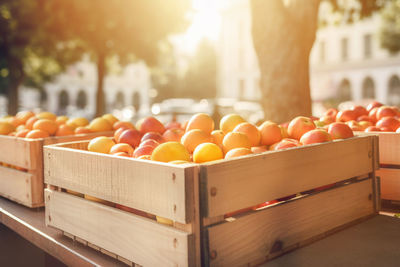 Close-up of fruits for sale