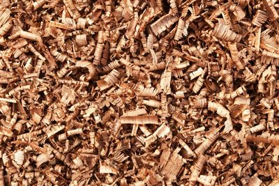 High angle view of wood shavings