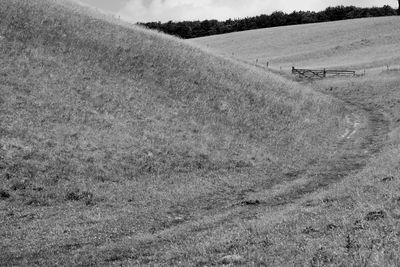 Scenic view of field