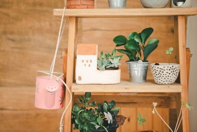 Potted plants on table at home