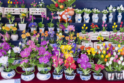 Close-up of various flowers for sale