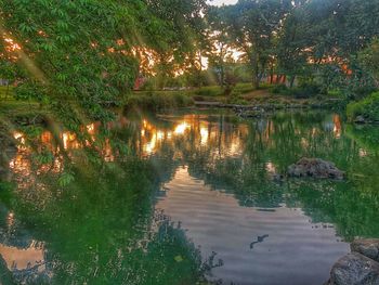 High angle view of lake amidst trees in forest