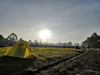 Scenic view of field against bright sun