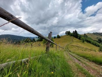 Scenic view of agricultural field against sky