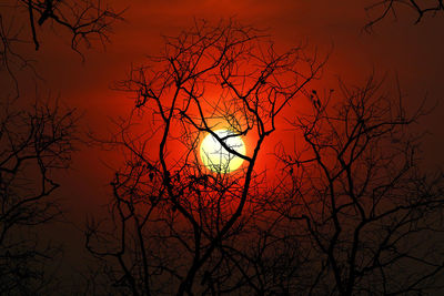 Low angle view of silhouette bare tree against romantic sky