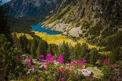 Scenic view of lake and mountains