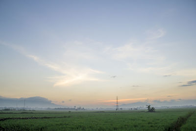 Scenic view of field against sky during sunset