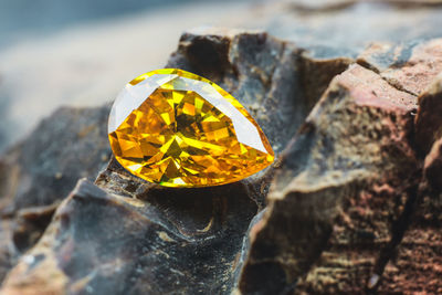 Close-up of yellow leaf on rock