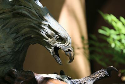 Close-up of eagle statue