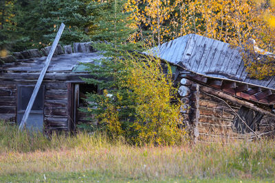 Abandoned house on field during autumn