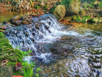 Scenic view of waterfall in forest