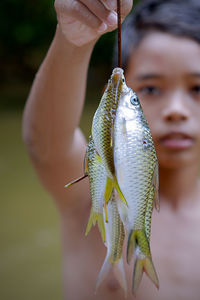 Close-up of hand holding fish