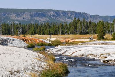 Scenic view of river by trees against sky