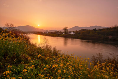 Scenic view of river against orange sky