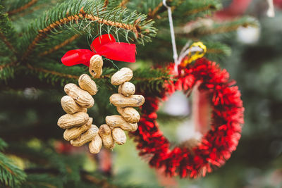 Peanuts handmade decoration on christmas tree. diy decoration ideas for children. environment