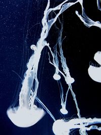 Close-up of water over black background