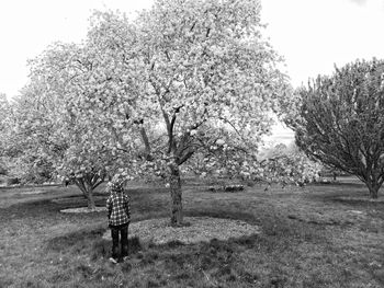 View of flowering plants on field