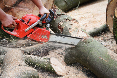 Cropped hands of man cutting wood