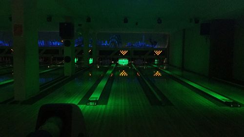 Illuminated light bulbs