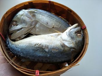 Close-up of fish in basket
