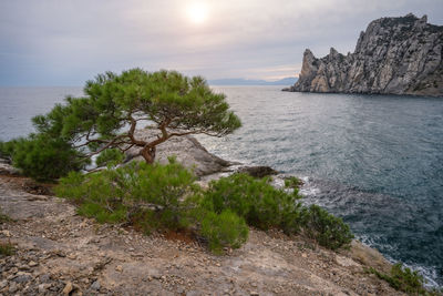 Crimea, novy svet, mountain karaul-oba at sunset