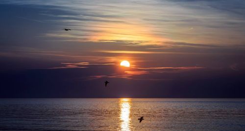 Scenic view of sea at sunset