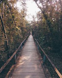 Boardwalk in forest against clear sky