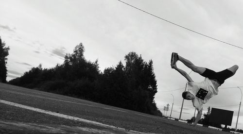 Trees against cloudy sky
