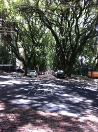 Road passing through forest