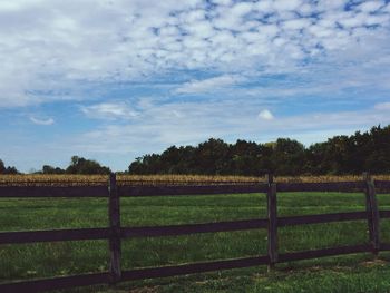 Scenic view of grassy field against sky