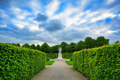 Footpath amidst plants in garden against sky