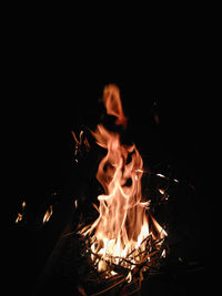 Close-up of bonfire at night