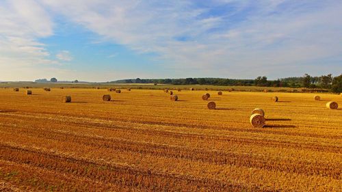 Scenic view of farm against sky 