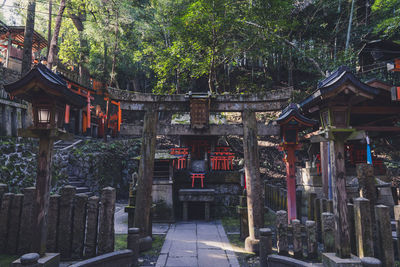 View of trees outside building