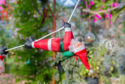 Close-up of red flower hanging on rope