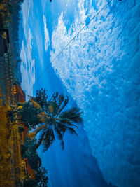 Low angle view of trees by sea against blue sky