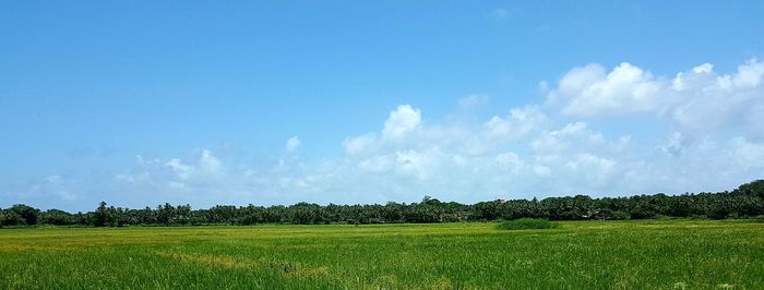 Panoramic view of landscape against blue sky