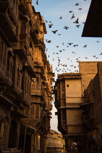 Low angle view of heritage buildings in jaisalmer city