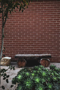 Potted plant against brick wall