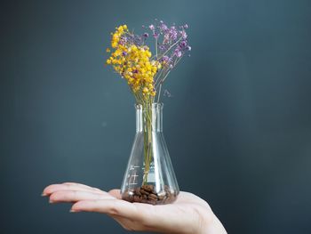 Close-up of hand holding flowers in vase against wall