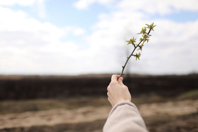 Midsection of person holding plant against sky