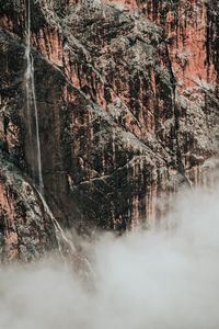 View of trees on mountain