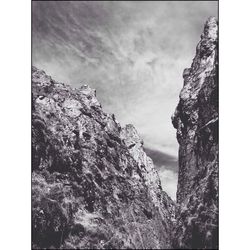 Low angle view of trees against cloudy sky