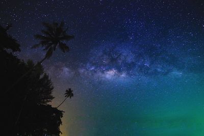 Low angle view of trees against sky at night