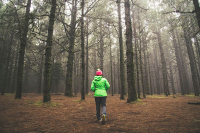 Rear view of woman walking towards trees in forest